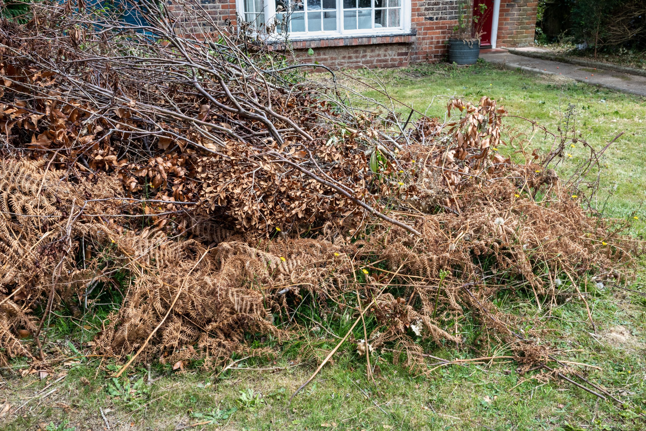 Garden Green Waste Removal Chislehurst BR7